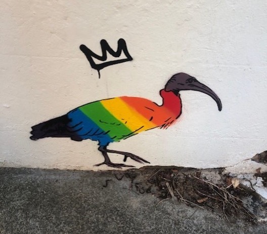 Rainbow flag ibis by Scott Marsh, Chippendale, NSW, photo by Paul Allatson