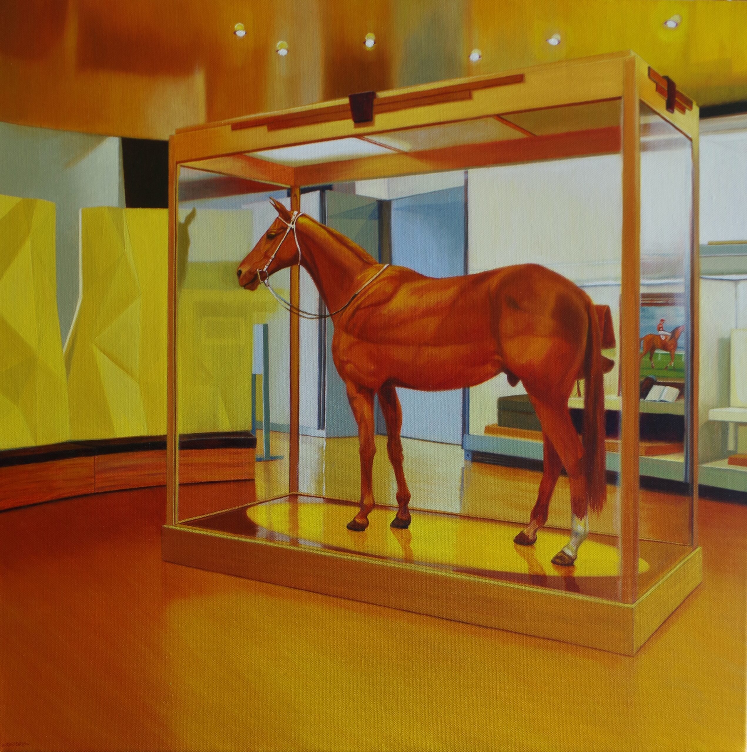 An image of Phar-Lap, taxidermic and exhibited in Melbourne.