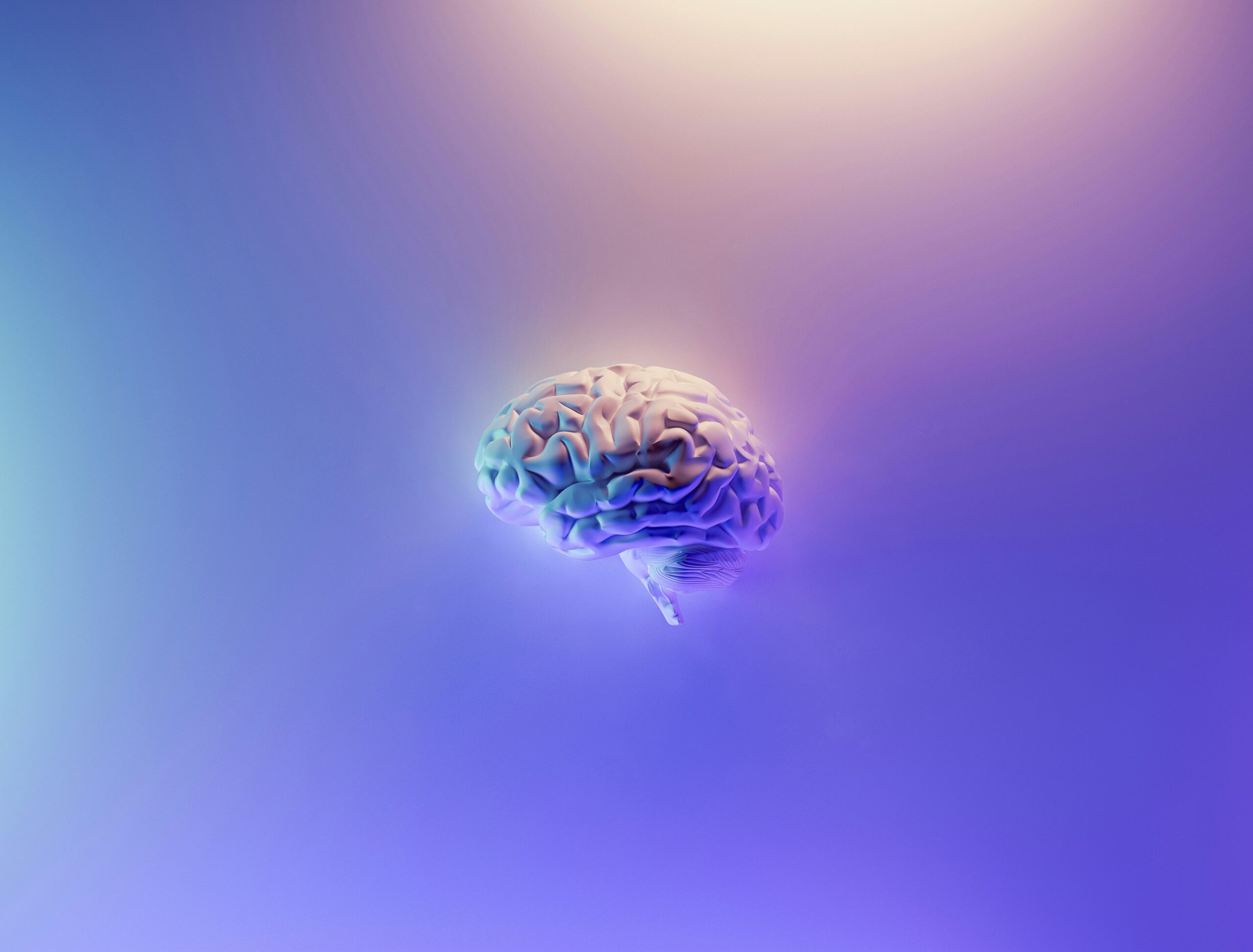 An illustration of a human brain upon a purple background.