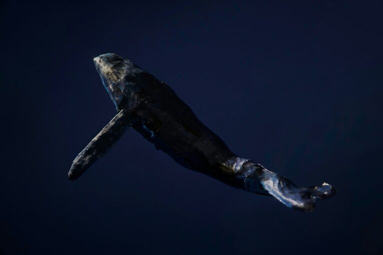 A whale swimming upwards towards the top left corner of the screen