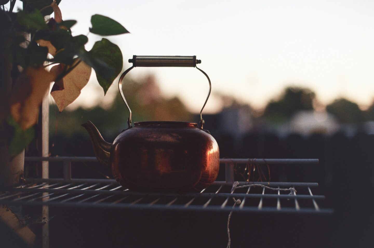 A metal teapot sitting on a shelf in an outdoor setting