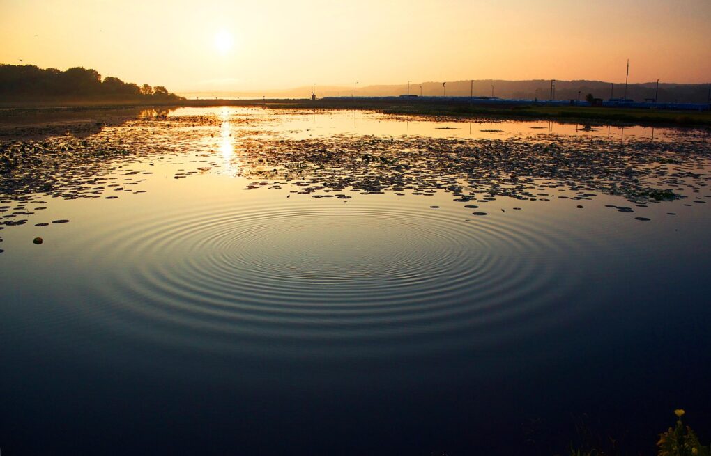 Ripples travelling outwards on the surface of a lake. The sun is setting in the distance. The image evokes a sense of calm.
