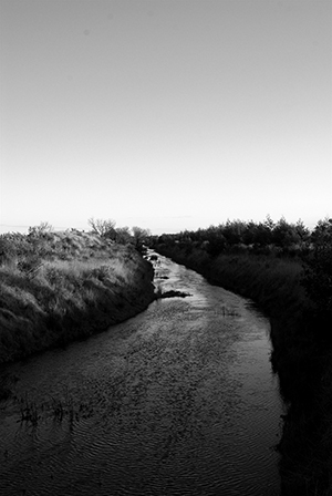 Five_Mile_Drain_2_300px_wide