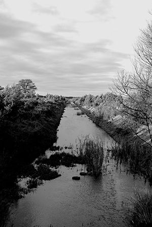 Five_Mile_Drain_300px_wide