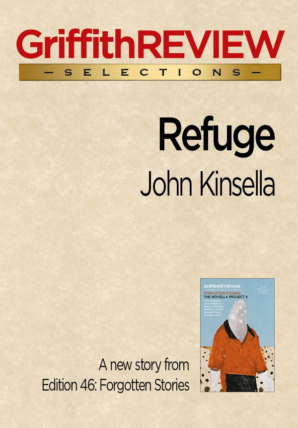 Kinsella_kindle_cover
